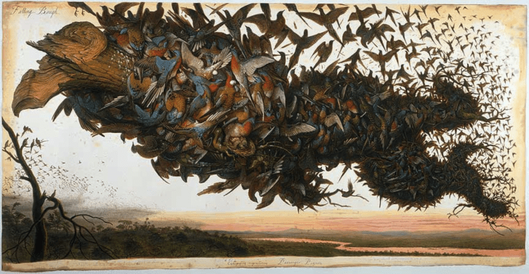 2019-05-28 00_10_20-walton.jpg (864×447).png